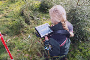 Förster bei der Verjüngungsinventur im Wald mit Laptop (© Florian Stahl, LWF)