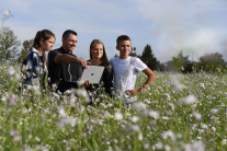 Vier Personen mit Laptop auf Blumenwiese