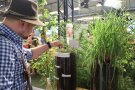 Ein Mann fasst eine Pflanze an, die im Moorboden in einer Plexiglassäule wächst.
