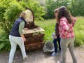 Studierende beim Dekorieren im Garten