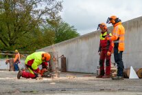 Eine Person in Sicherheitskleidung und Helm kniet auf dem Boden und führt einen Fällschnitt an einem Baumstamm aus. Zwei Männer ebenfalls in Sicherheitskleidung stehen daneben und beurteilen die Arbeit