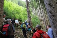 Eine Gruppe von Männern steht in einem Wald 