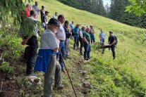 Eine Gruppe von Männern steht an einem Hang am Waldrand