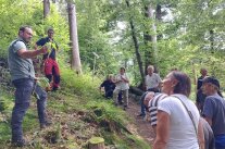 Ein Mann zeigt einer Gruppe im Wald eine Pflanze, die er in der Hand hält.