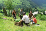 Mehrere Personen mit Schaufeln und jungen Forstpflanzen auf einer Wiese am Hang