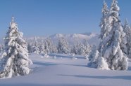 Verschneite Winterlandschaft mit Bäumen