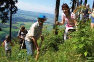 Pflanzung im Schutzwald