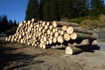 Holzpolter