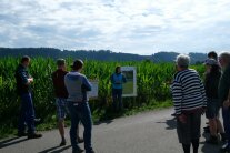 Teilnehmer des Feldtages begutachten den Maisschauversuch von Betrieb Jürgen Wiedemann