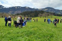 Menschen gehen durch eine Wiese und suchen Pflanzen